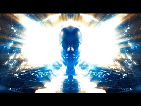 Bufo Alvarius - The Underground Secret - English Trailer