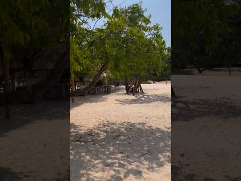 Praia de Santa Cruz, Belterra - Pará