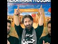 New Nohay 2024 Nadeem Sarwar New Album 2024 Mera Imam Hussain
