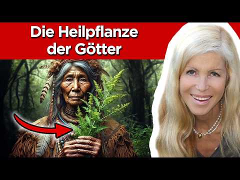 Das passiert, wenn du Artemisia Annua einnimmst (verboten?!)