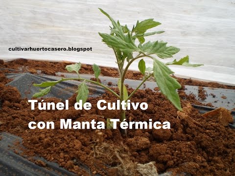 , title : 'Túnel de cultivo en Huerto casero. Manta térmica.'