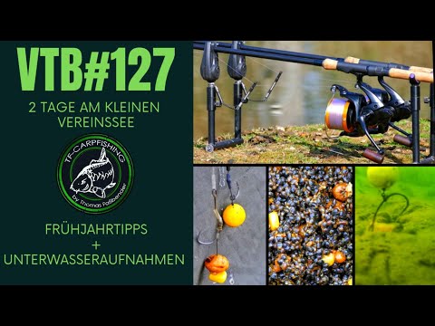 Karpfenangeln VTB 127 - 2  Tage am kleinen Vereinssee + Frühjahrstipps & Unterwasseraufnahmen
