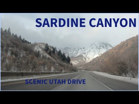 S6e2 Sardine Canyon