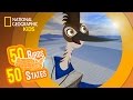 New Mexico Feat Rapper MC Rob The Roadrunner 50 Birds 50 States