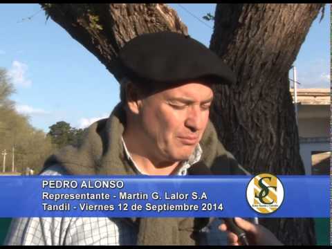 El Centinela de Las Sierras - Nota Pedro Alonso - Tandil - 12/09/2014