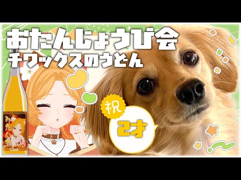 ※実写※愛犬誕生日