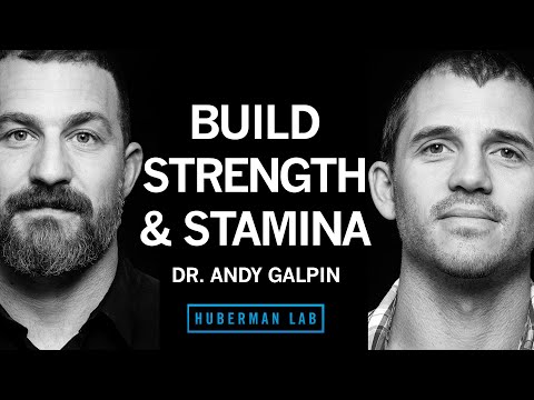 Dr. Andy Galpin: How to Build Strength, Muscle Size & Endurance | Huberman Lab Podcast #65