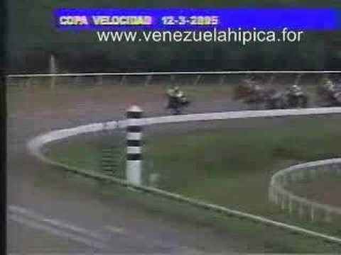 Copa Velocidad 2005
