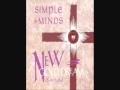 Simple Minds Colours Fly and Catherine Wheel