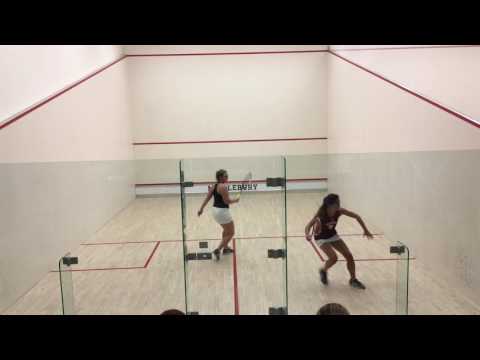 Natasha v Bowdoin 1 7 17