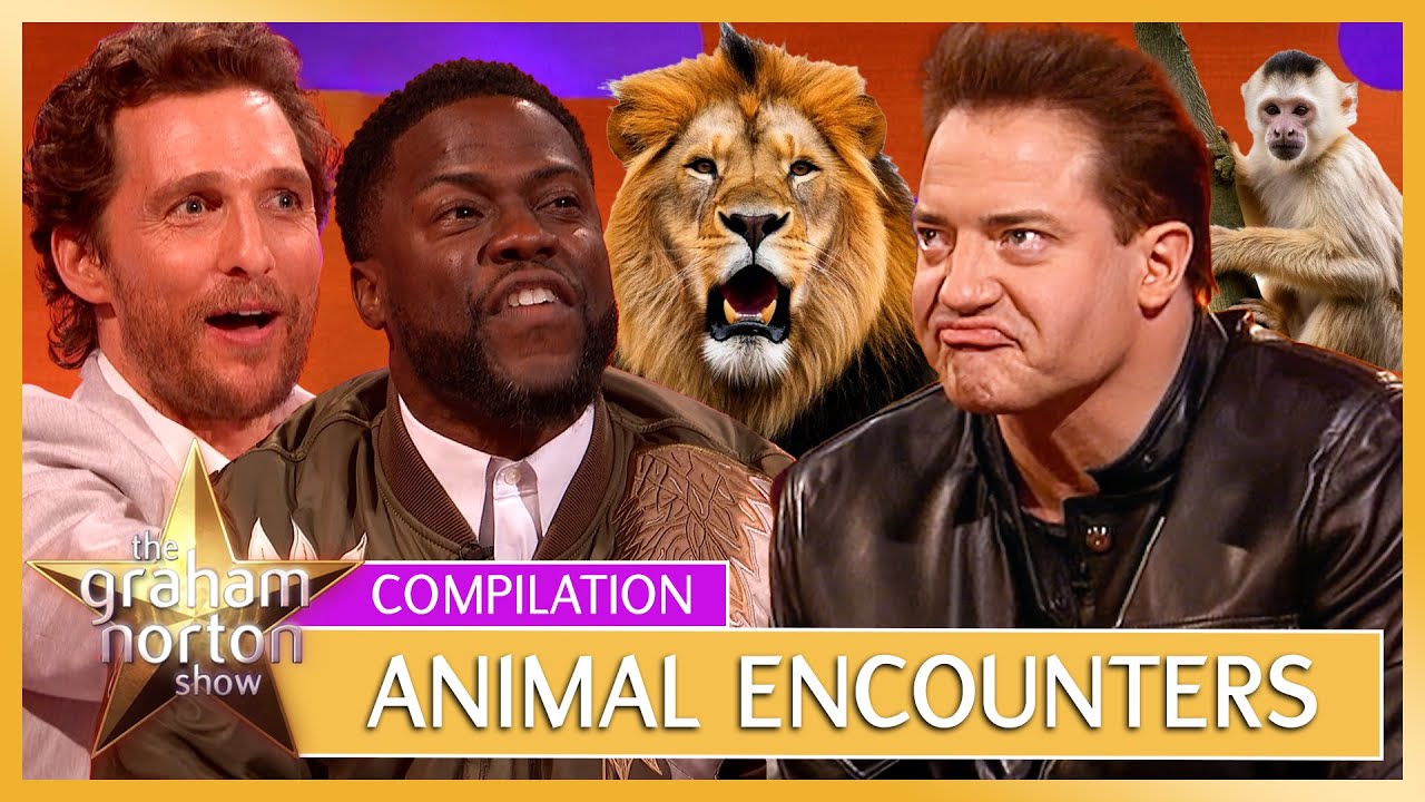 Close Encounters... of The Furry Kind | Funny Animal Encounters | The Graham Norton Show