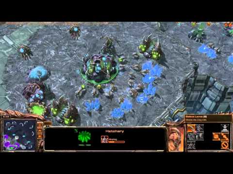 Starcraft 2 Mass Roach Shenanigans (Part 1/2)