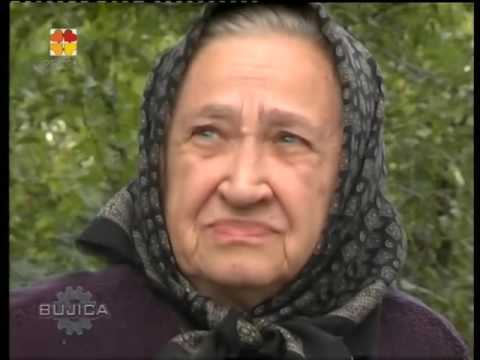 BUJICA 10.10.2016. ANTUN IVANKOVIĆ PROZVAO VOJISLAVA STANIMIROVIĆA ZA RATNI ZLOČIN!