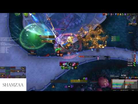 High Botanist Tel'arn mythic. Havoc point of view.