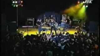 Nightingale  Shadowland Serenade