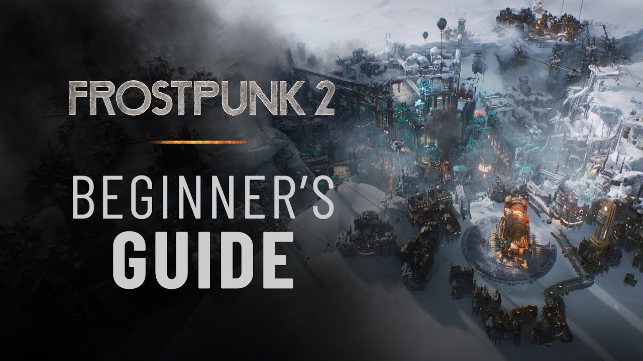 Beginner's Guide