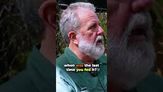 @epicgardening on why your orchids don't bloom🌸 #garden #plants #botanicgarden #orchid