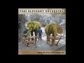 Thai Elephant Orchestra (with Dave Soldier & Richard Lair)
