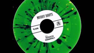 The Sonics - Mudhoney 2014 RSD Release on Muddy Roots Records