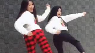 Download lagu Dua cewek cantik Asik joget DJ makan ANJING sayur kol®© mp3