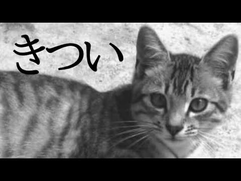 【SCPMAD】次回「ジョー之内　死す」