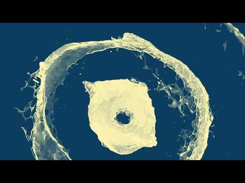 Same Boat Kojey Radical Testo Testi E Traduzioni