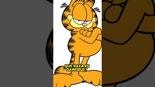 GARFIELD: ¿QUÉ RAZA ES? #fypviralシ #fyyy #gatos #garfield #fypシ #cartoon