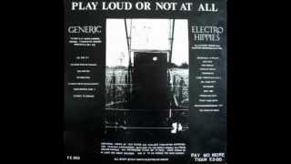 Generic / Electro Hippies - &quot;PLAY LOUD OR NOT AT ALL&quot; Split Album (1987)