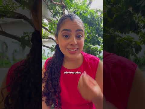 Projeto Formigas de Embaúba