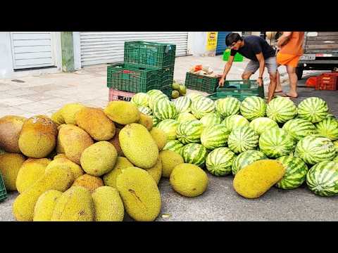 JACA COM FORÇA EM PANELAS-PE. ISTO É NORDESTE!!!