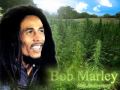 (Rare) Bob Marley - Waiting in Vain (1968) 
