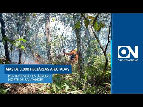 Más de 3.000 hectáreas afectadas por incendio en Ábrego, Norte de Santander