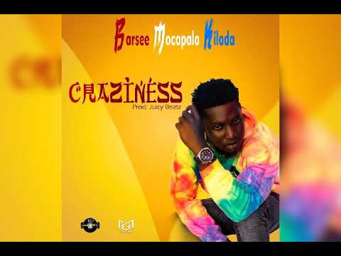 Craziness 😂(Official Audio)