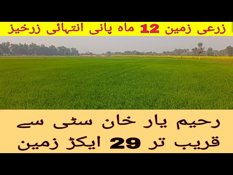 Agri Land For Sale In Rahim Yar Khan 12 Month permanent Water Available