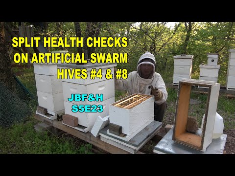 Hive 4 & 18 Artificial Swarm Splits follow up and marking the queen S5E23 #beekeeping