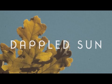 Dappled Sun