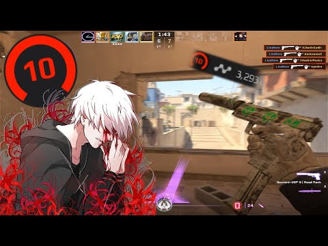 Faceit lvl 10 Highlights