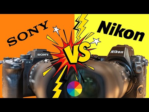 Sony vs. Nikon - wer hat die besseren Farben? Der ultimative Vergleich - Z8 vs. Alpha 1
