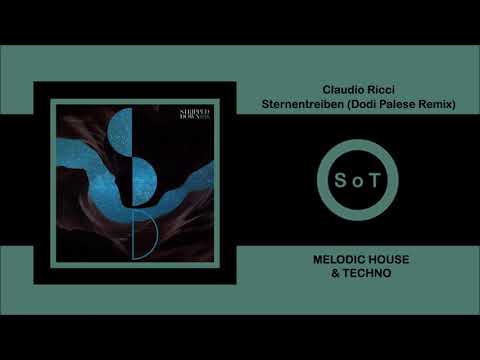 Claudio Ricci - Sternentreiben (Dodi Palese Remix) [Melodic House & Techno] [Stripped Down Records]