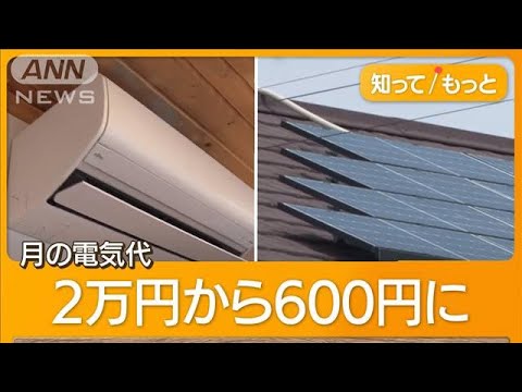 中国でパンダ型の太陽光発電所が稼動