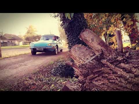 Beautiful 1971 Citroën DS20 Pallas