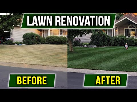 Renovate Your Lawn - Step by Step Process!!