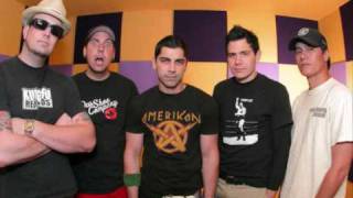 barbie world Home Grown Zebrahead