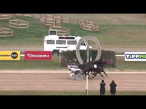 2022.11.19. Napi összefoglaló