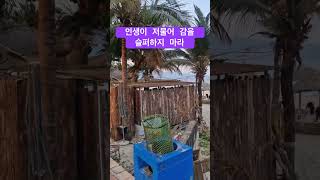 다낭 미캐비치 #travel #danang