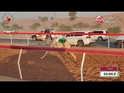  ش 6 (مياس) لـ محمد حارب خاصوني الكتبي 4:42 , شارة الديوان 2 2026/09/25 حقايق اللبسه  