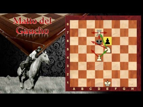 Catalogo dello Scaccomatto - Matto del Gaucho 17 - Scacchi