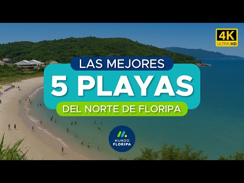 Top 5 best beaches in northern Florianópolis 4K