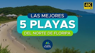 Top 5 mejores playas del norte de Florianópolis 4K