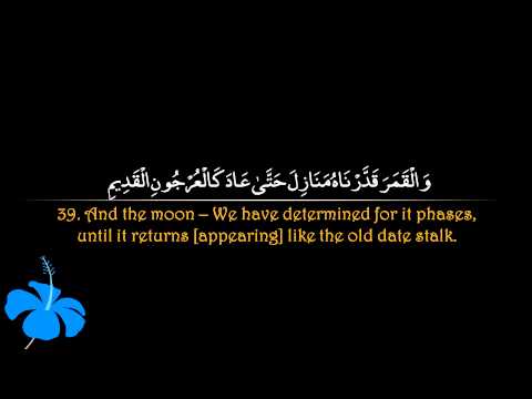 Surah Yaseen | Abu Bakr ash Shatri سورة يس | ابو بكر الشاطري